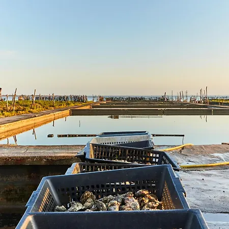 Apartament 1 Chambre, Face Mer, A - Fr-1-323-550 Saint-Jean-de-Monts