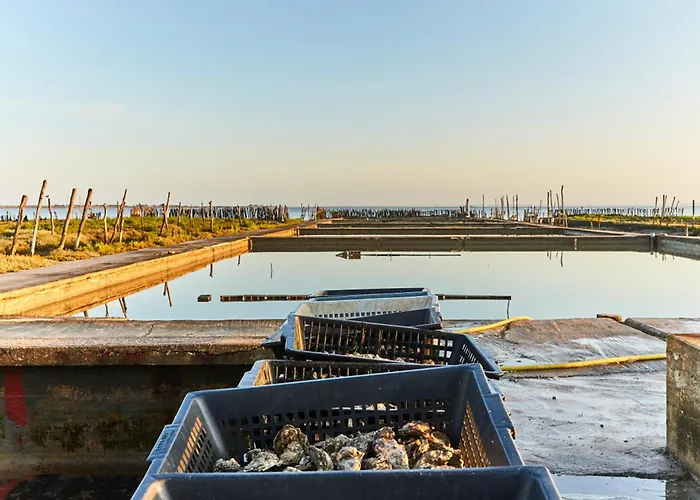 1 Chambre, Face Mer, à - Fr-1-323-550